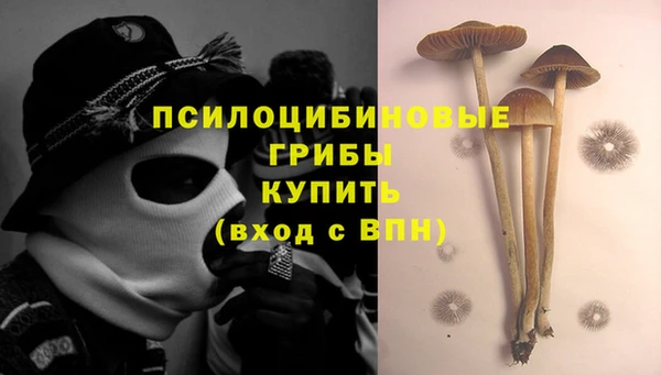 МДПВ Алексеевка