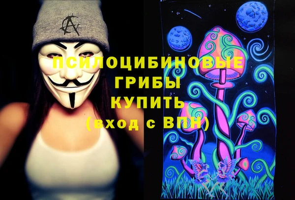 стафф Няндома