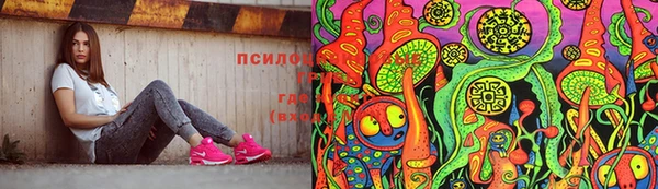 МДПВ Алексеевка
